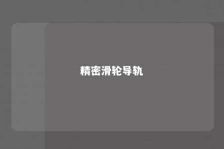 精密滑轮导轨 